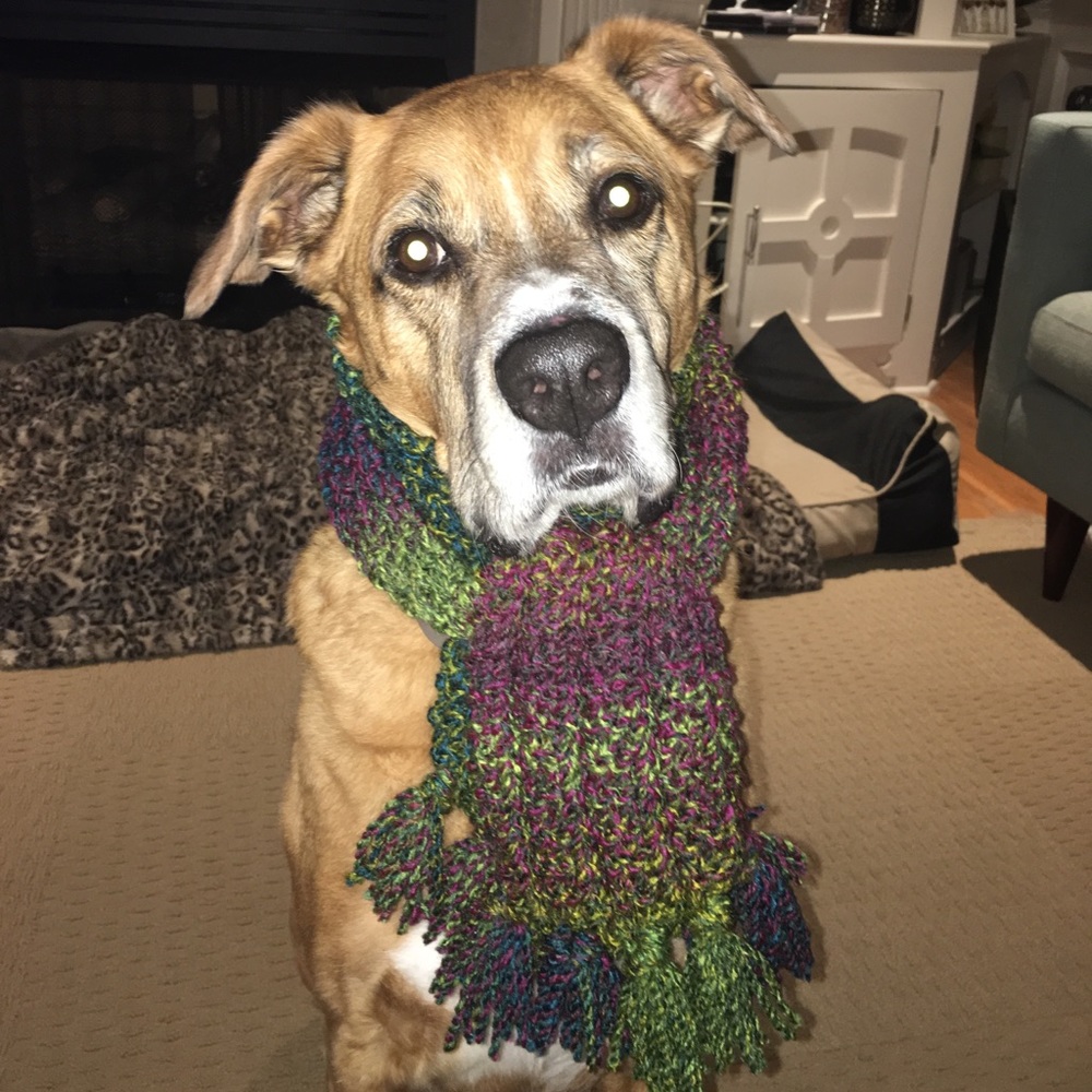 Meet your Posher, Sherry